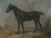 Le cheval noir de Constable - John Constable — näkymä teoksesta