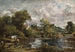 Le Cheval blanc - John Constable — näkymä teoksesta