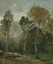 Vue d'un bosquet - John Constable — näkymä teoksesta