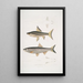 Hamiltonin karppi Cyprinus Bangana Hamiltonii luonnollinen koko 2 Goha Cyprinus Leuciscus Goha - John Edward Gray — kehystetty taideteos seinällä