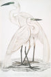 Héron blanc pur Ardea modesta 2 Héron à bec noir Ardea nigrirostris - John Edward Gray — näkymä teoksesta