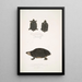 Tortue tachetée Emys Guttata Emys Hamiltonii 2 Tortue à cou épais Emys crassicollis - John Edward Gray — kehystetty taideteos seinällä