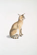 Chat allié Felis affinis - John Edward Gray — näkymä teoksesta