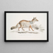 Renard Bengal Canis Vulpes Bengalensis Canis Kokree - John Edward Gray — kehystetty taideteos seinällä