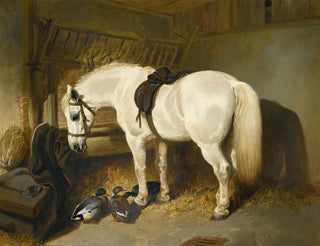 John Frederick Herring Snr - A Grey Pony In A Stable With Ducks.webp