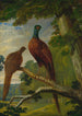 Un faisan mâle et femelle - John Frederick Herring l'Ancien — näkymä teoksesta