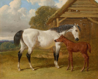 John Frederick Herring Snr - A mare and foal beside a field shelter.webp