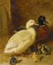 Canards et canetons - John Frederick Herring l'Ancien — näkymä teoksesta