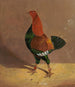 Coq de combat à poitrine foncée, tourné vers la gauche - John Frederick Herring l'Ancien | Reproduction — näkymä teoksesta