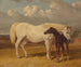 Jument et poulain - John Frederick Herring l'Ancien — näkymä teoksesta
