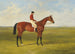 Mr S Wrathers Nutwith J Marsonin voittama St Leger - John Frederick Herring vanha — näkymä teoksesta