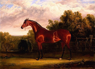 John Frederick Herring Snr - Negotiator a Bay Horse in a Landscape.webp