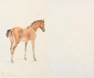 John Frederick Tayler - Fannys Colt July 26 1886.webp