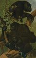 Gorilla - John George Wood — näkymä teoksesta
