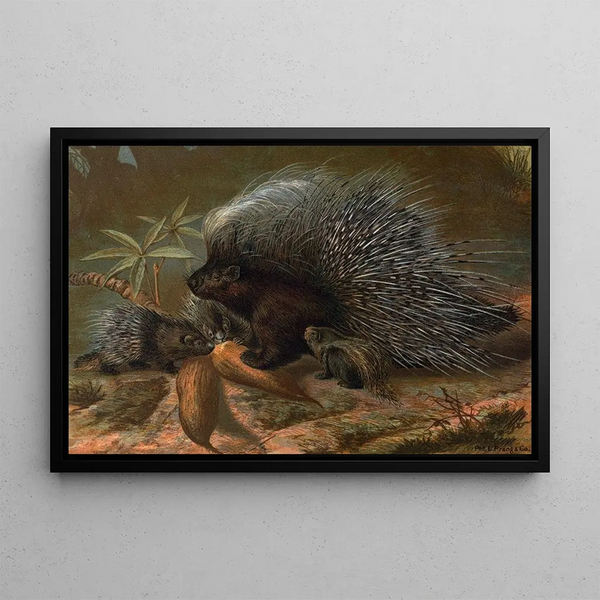 John George Wood - Porcupine.webp