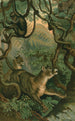 Puma - John George Wood — näkymä teoksesta