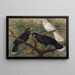 Trois huia Heteralocha acutirostris - John Gerrard Keulemans — kehystetty taideteos seinällä