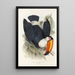 Ramphastidae-lahkon toukaneiden perheen monografia Pl06 - John Gould — kehystetty taideteos seinällä