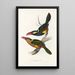 Ramphastidae-heimän tai toukaneiden perheen monografia Pl22 - John Gould — kehystetty taideteos seinällä