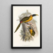 Ramphastidae-heimän tai toukaneiden perheen monografia Pl28 - John Gould — kehystetty taideteos seinällä