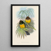 Trogonidae-heimän tai trogonien perheen monografia Pl06 - John Gould — kehystetty taideteos seinällä