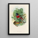 Trogonidae:n monografia tai trogonien perhe Pl35 - John Gould — kehystetty taideteos seinällä