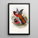 Trogon de Diard - John Gould — kehystetty taideteos seinällä
