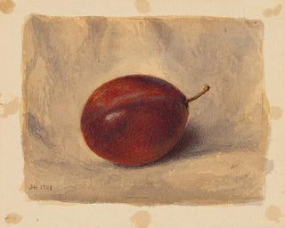 John Henry Hill - Plum.webp