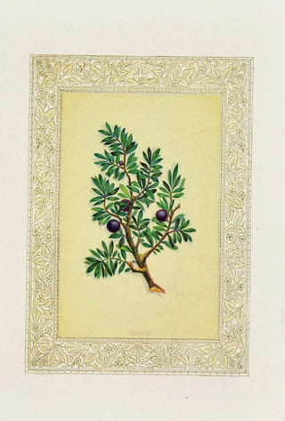 John Henry Ingram - Cyprus.webp