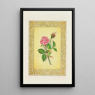 John Henry Ingram - Rose.webp