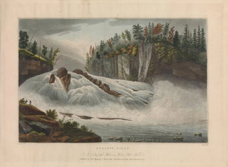 John Hill - Hadleys Falls.webp