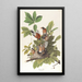 Merle d'Amérique - John James Audubon — kehystetty taideteos seinällä