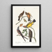 Tyran de l'Arkansas Tyran à queue fourchue - John James Audubon — kehystetty taideteos seinällä