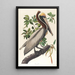Pélican brun Pelecanus fuscus - John James Audubon — kehystetty taideteos seinällä