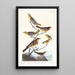 Oriole de Bullock, Oriole de Baltimore, Chardonneret mexicain, Grive variée, Grive des ruisseaux - John James Audubon — kehystetty taideteos seinällä
