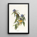Paruline du Connecticut - John James Audubon — kehystetty taideteos seinällä