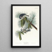 Mésange huppée - John James Audubon — kehystetty taideteos seinällä