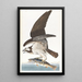 Balbuzard pêcheur - John James Audubon — kehystetty taideteos seinällä