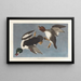 John James Audubon — kehystetty taideteos seinällä