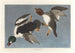 John James Audubon — näkymä teoksesta