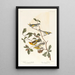 Paruline à ailes dorées - John James Audubon — kehystetty taideteos seinällä
