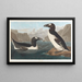 Suurpingviini - John James Audubon — kehystetty taideteos seinällä