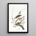 Grive solitaire - John James Audubon — kehystetty taideteos seinällä