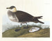 Metsästäjä - John James Audubon — näkymä teoksesta