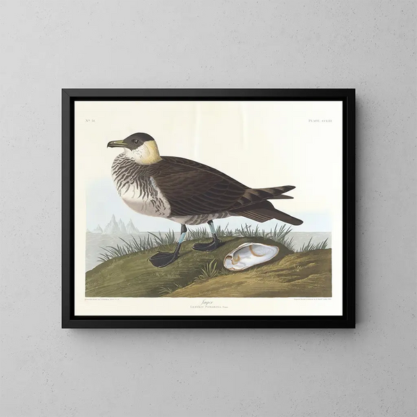 Metsästäjä - John James Audubon — kehystetty taideteos seinällä