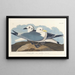 Mouette tridactyle - John James Audubon — kehystetty taideteos seinällä