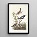 Bruant des prés Bruant des prairies Moineau chanteur brun - John James Audubon — kehystetty taideteos seinällä