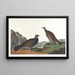 John James Audubon — kehystetty taideteos seinällä