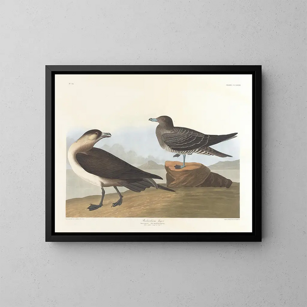 The Hunter of Richardson - John James Audubon — kehystetty taideteos seinällä