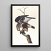 Faucon à pattes rugueuses - John James Audubon — kehystetty taideteos seinällä